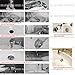 XVL Bathroom Faucet Vessel Vanity Sink Pop Up Drain Stopper with Overflow, Golden D37C