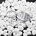 VANLOVEMAC Loss of Pet Memorial Keychain Dog Cat Remembrance Jewelry Pet Sympathy Gift Dog Remembrance for Women Men Once By My Side Forever in My Heart Key Ring