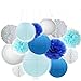 Fascola 12 pcs White Blue Tissue Hanging Paper Pom-poms, Hmxpls Flower Ball Wedding Party Outdoor Decoration Premium Tissue Paper Pom Pom Flowers Craft Kit