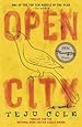 Open City: A Novel