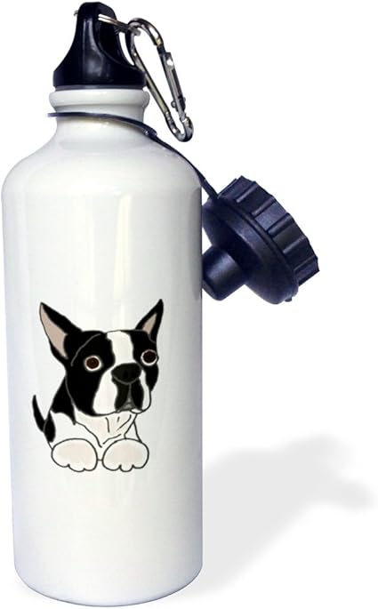 Amazon Co Jp 3drose かわいいボストンテリア 子犬 オリジナル スポーツウォーターボトル 21オンス 21オンス マルチカラー ホーム キッチン