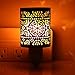 AMIR Salt Lamp, Natural Himalayan Salt Rock Lamp, 2 Pack Salt Crystal Night Lights with Modern Design Metal Lampshade, UL Approved Wall Plug, for Decoration, Lighting, Air Purifying, 4 Bulbs Included
