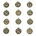 LolliBeads (TM Jewelry Making Antique Brass Bronze Vintage Style Round Charm Zodiac Set of 12