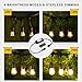 Mpow Upgraded 49Ft LED Outdoor String Lights, Ambiance Adjustable 150W Remote Control Dimmer, Dimmable 1.5W Vintage Bulb (1 Spare), Heavy Duty Waterproof Edison String Light for Patio Backyard (Black)