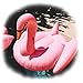 Floatie Kings FK-Swan-PK Premium Swan Float, Pink, 71