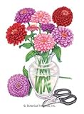 Northern Light Blend Zinnia Seeds - 1 gram - Botanical Interests