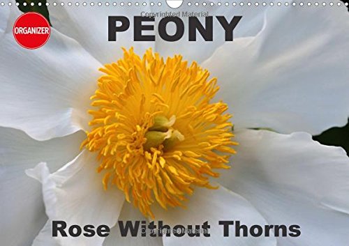 Peony Rose Without Thorns 2017: Peony, a Flower of Symbolic Importance (Calvendo Nature)