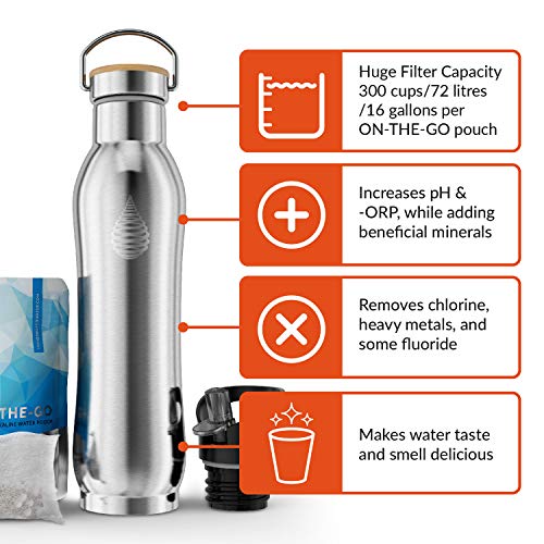pH Active Insulated Water Bottle - Stainless Steel Water Bottle - Includes Alkaline Water Filter, Plus Bonus Sports Gym Lid - Double Walled Metal - 2019 (950)