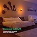 TomCare Himalayan Salt Lamp Natural Hand Carved Himalayan Salt Light Glow Crystal Rock Salt Lamps Wall Night Light Bulbs with UL Listed Plug for Lighting and Decoration (2)