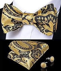 DiBanGu Gold Bow Ties for Men Self Tie Bow Tie and
