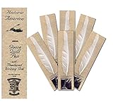 Quill Pens and Ink, Set of 6 Feather Fountain Pens