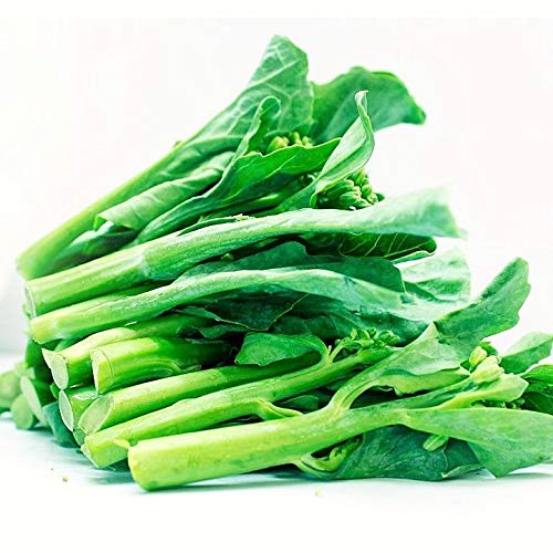 ASTONISH Seeds Package: 1000+ Chinese Broccoli Kale Gailaan GAI LAN Kai LAN Phak Khana ?? ?????