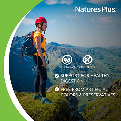 NaturesPlus Say Yes to Beans Enzyme Complex - 60 Vegetarian Capsules - Natural Food Enzyme Supplement for Gas Relief, Digestive Aid - Gluten-Free - 60 Servings - Thumbnail 3