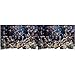 Vepotek Aquarium Background Deep Seabed/Coral Rock Double sides (Deep Seabed/Coral Rock, 48WX24H)
