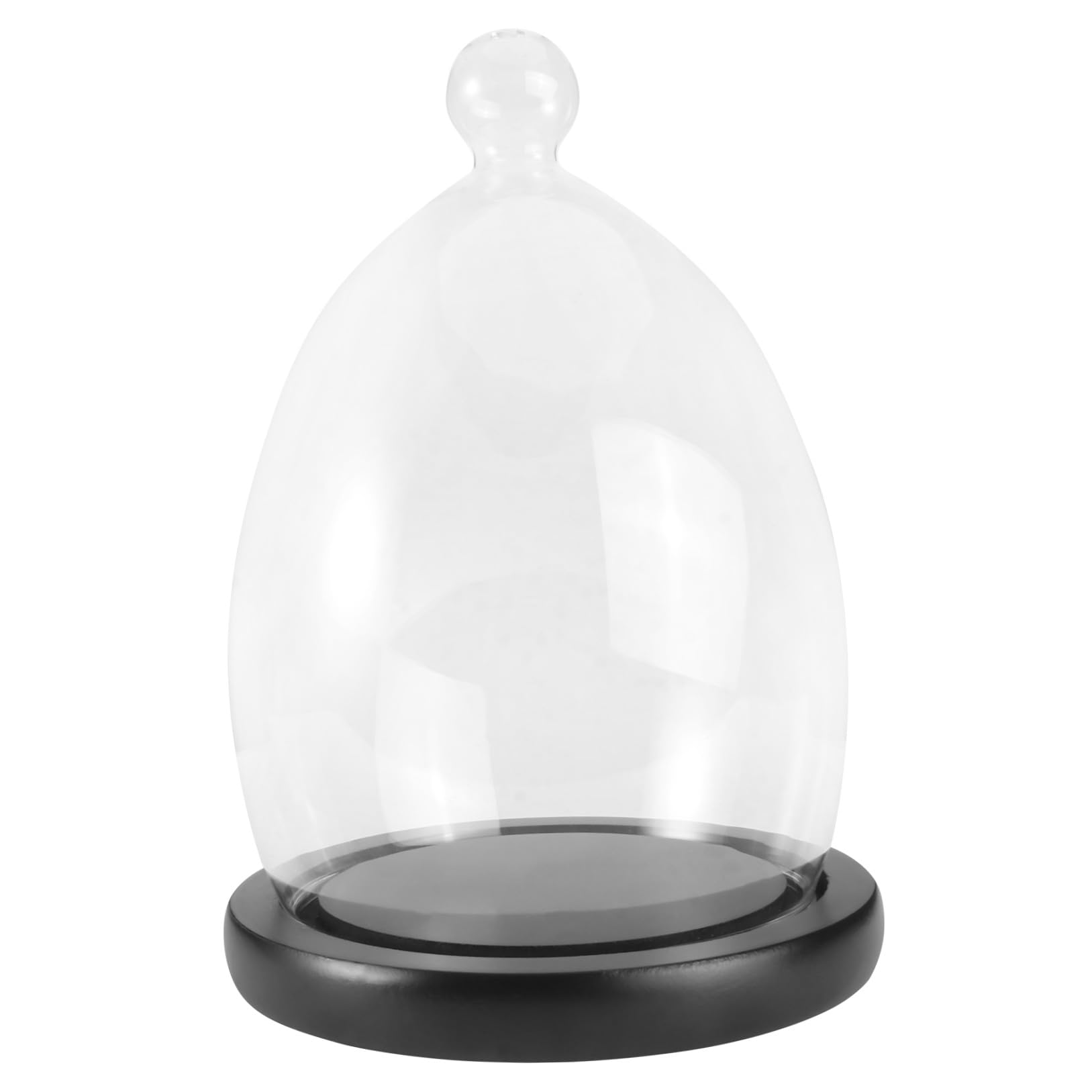 BESPORTBLE 1 Set of Clear Glass Dome Cloche with Wooden Base Antique Bell Jar Display Dome for Plants Succulents Fairy Lights Photos Micro Landscape Black
