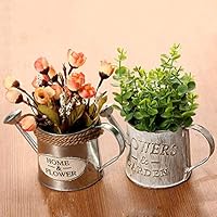 Bigfanshu Home Decor Flower Watering Barrel Retro Flower Succulent Pot Plant Bucket Home Ornaments Desktop Decoration Photo