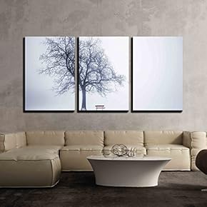 3 Piece Canvas Wall Art - Foggy Winter Scene with Leafless Tree and Red Park Bench in Fog - Modern Home Art Stretched and Framed Ready to Hang - 16"x24"x3 Panels