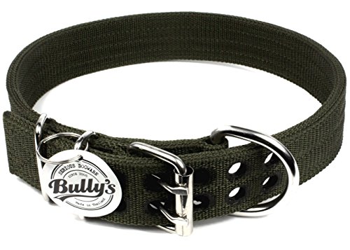 Pitbull Collar, Dog Collar for Large Dogs, Heavy Duty Nylon, Stainless Steel Hardware (Large, Army Green)