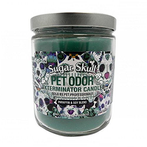 Pet Odor Exterminator Candle, Sugar Skull,13 oz