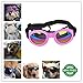 Pet Dog Sunglasses Water-Proof Multi-Color Protection Goggles Updated Version (B)