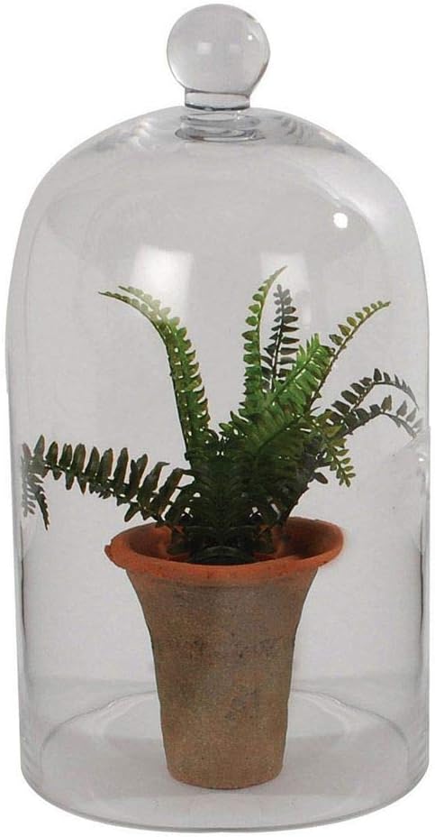 TTWD Medium or Large Glass Dome Apothecary Cloche Bell Jars/Plant Terrarium/Centerpiece (large)