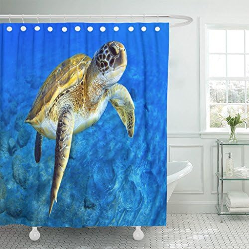 MAYTEC Shower Curtain Blue Aquarium Green Turtle Awe Behavior Waterproof Polyester Fabric 72 x 72 inches Set with Hooks