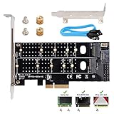 QNINE Dual M.2 PCIe Adapter, M.2 NVME SSD M Key or