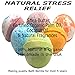 Bath Bombs Gift Set- 6 USA Lush Spa Fizzies.Gift Ideas,Women,Men,Teens.Natural Shea,Coconut Oil & Scents.Great Pampering Gifts for Relaxation.Top Gifts for Women,Men,Teens. Great Birthday Gift Set