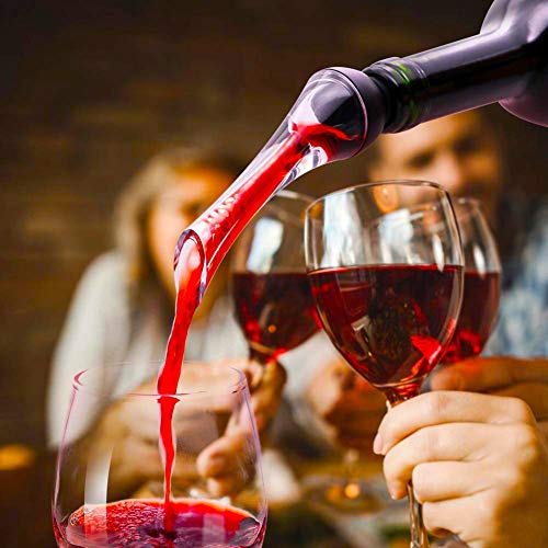 BeRicham Wine Aerator Pourer - Premium Wine Pourer Decanter for Aerating Wine Instantly Perfect Gift for Wine Lovers/Wine Accessories, FDA Approved, Gift Box Included