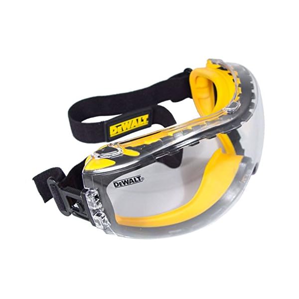 DEWALT DPG8211 Concealer Clear AntiFog Dual Mold Safety Goggle