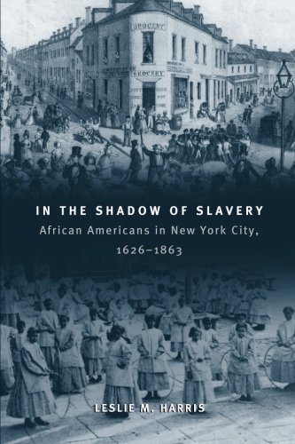 In the Shadows of Slavery : African Americans in New York City, 1626-1863