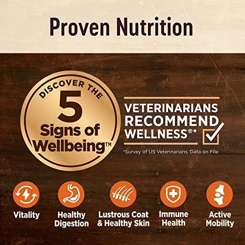 Wellness CORE Digestive Health Dry Dog Food with Wholesome Grains