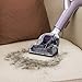 Shark NV351 Navigator Lift-Away Professional Canister and Upright Vacuum Cleaner for Carpet and Hard Wood Floors (Renewed)
