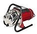 Red Lion RJSE-75SS 115 Volt, 3/4 HP, 11 GPM Stainless Steel Sprinkler Utility Pump with 8-ft. Cord, Red, 614432