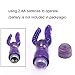 LUOGE VicQueen Crystal G-spot Butt Plug Double Pleasure Vibrator Anal Massage Dual Penetrator Vibe (purple)