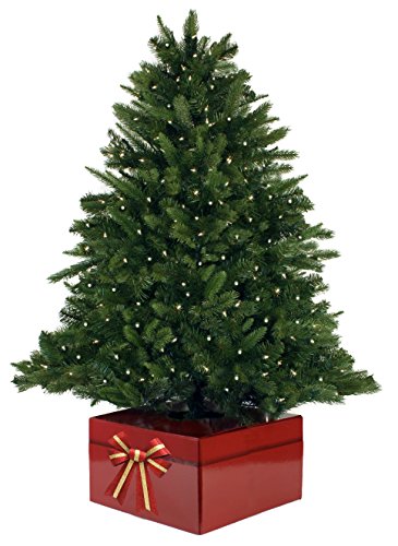 2 Christmas+Tree+Box+Original+Watering