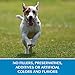 Wellness Simple Limited Ingredient Dry Dog Food for Sensitive Stomachs, Supports Skin & Coat, Grain Free, Natural, Healthy Weight Salmon & Peas Recipe, (24-Pound Bag)