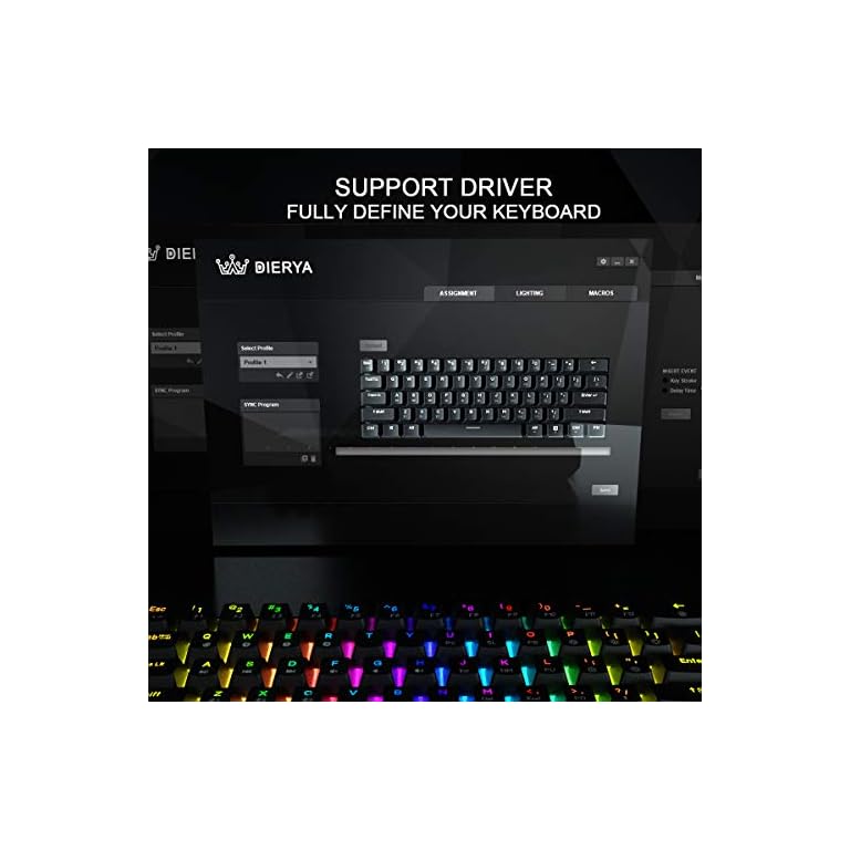 dierya dk61e switches