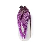 Merlot red napa Cabbage Chinese Korean wombok