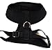 Downtown Pet Supply Comfort Control Dog Walking Harness, Small - Neck 7.5
