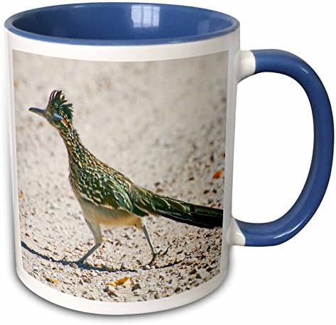 3dRose New Mexico, Bosque Del Apache, Roadrunner Bird Jaynes Gallery Two Tone Mug, 11 oz, Blue/White,mug_92557_6