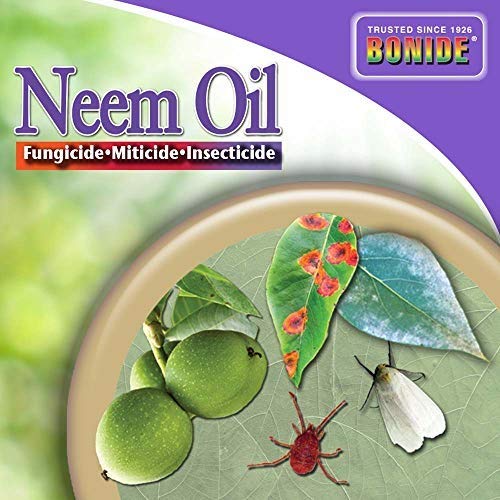 Bonide (BND022 Ready to Use Neem Oil, Insect Pesticide for Organic