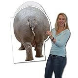 VictoryStore Jumbo Greeting Cards:  Giant Birthday Card (Hippo), 2' x 3' Card with Envelope