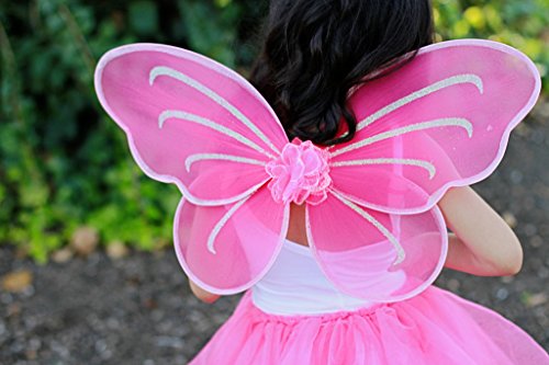Party Favor Butterfly Wing (Set of 6) Color: Hot Pink