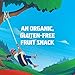 Clif KID ZFRUIT - Organic Fruit Rope – Strawberry Flavor - Gluten Free - Organic - Non-GMO - Lunch Box Snacks (1.27 Ounce Energy Bars, 18 Count)