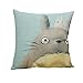 ME COO® Vintage Cartoon Blend Decoration Pillow Case Cute Cartoon Totoro cat Cushion Home Sitting Room Office Zipper Decorative Throw Pillows cojines 17 Inches * 17 Inches (ME-BZXB-37)