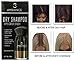 Ambiance Natural Dry Shampoo Powder & Brush for Dark Hair - Non Aerosol Travel Size Brunette Tinted Shampoo - Non Toxic, Benzene Free - Volumizing, Refreshes Oily Hair & Covers Roots Between Colorings