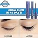 Yeelen Eyelash Eyebrow Growth Serum Grows Longer, Fuller, Thicker Lashes & Brows in 45 days! Enhancer Eyelash Conditioner Non-prescription Eyelash Serum 5ml