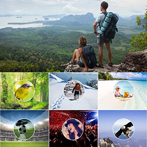 Fernglas 12 * 42 wasserdicht, Fernglas mit Nachsicht, Faltbares langlebiges Fernglas BAK4 FMC und Weitwinkelokular… – Bild 8