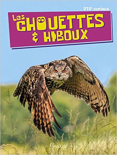chouettes-et-hiboux